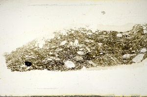 Plane Polarized, S85441