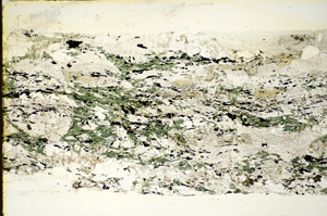 Plane Polarized, S85448