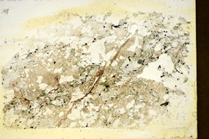 Plane Polarized, S85449