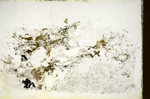Plane Polarized, S85454