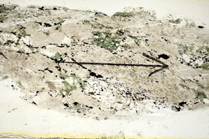 Plane Polarized, S85457
