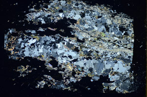 Cross Polarized, S85458