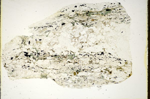 Plane Polarized, S85459