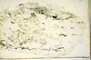 Plane Polarized, S85460