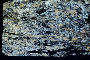 Cross Polarized, S85461