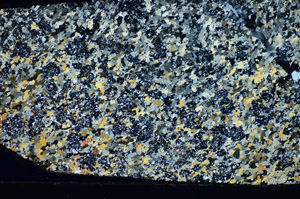 Cross Polarized, S85520