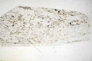 Plane Polarized, S85522