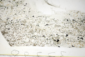 Plane Polarized, S85525