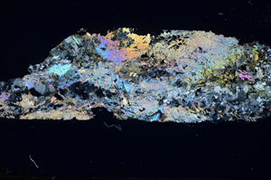 Cross Polarized, S85531