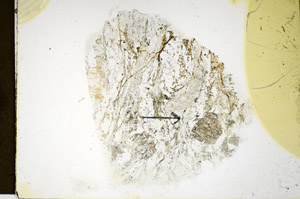Plane Polarized, S85532