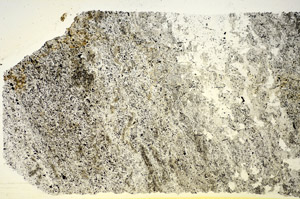 Plane Polarized, S85534