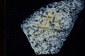 Cross Polarized, S85536