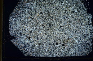Cross Polarized, S85537