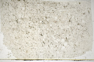 Plane Polarized, S85538
