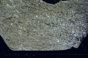 Cross Polarized, S85540