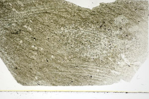 Plane Polarized, S85540