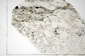 Plane Polarized, S85548