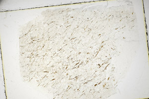 Plane Polarized, S85551