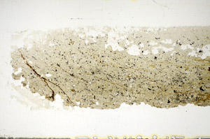 Plane Polarized, S85578