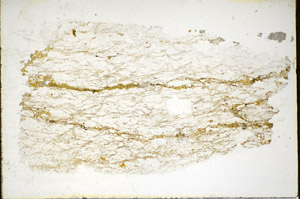 Plane Polarized, S85579