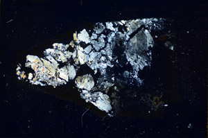 Cross Polarized, S85582