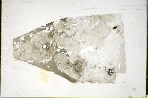 Plane Polarized, S85582