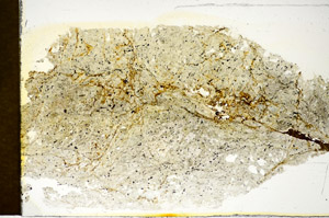 Plane Polarized, S85583