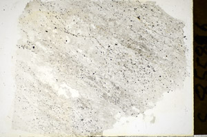 Plane Polarized, S85586