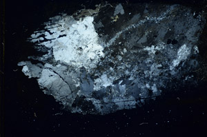 Cross Polarized, S85592