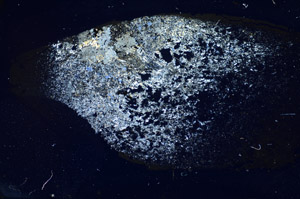 Cross Polarized, S85593