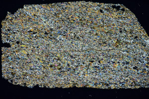 Cross Polarized, S85594