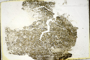 Plane Polarized, S85595