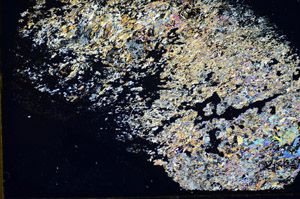 Cross Polarized, S85596