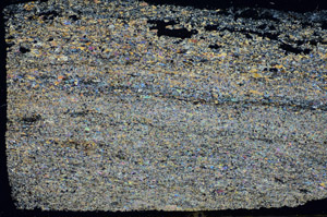 Cross Polarized, S85600