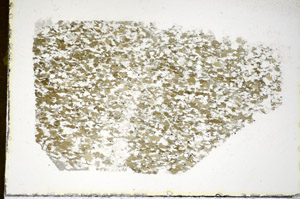 Plane Polarized, S85604