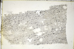 Plane Polarized, S85605