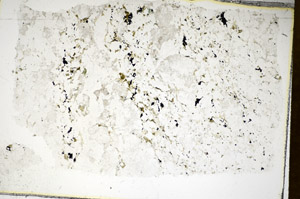 Plane Polarized, S85614