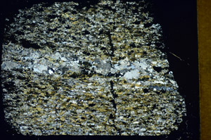 Cross Polarized, S85618