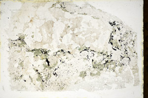 Plane Polarized, S85628