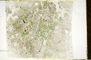 Plane Polarized, S85630