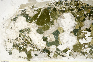Plane Polarized, S85631