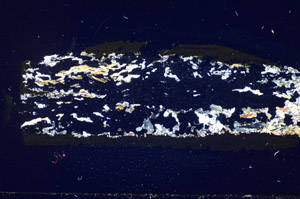 Cross Polarized, S85632