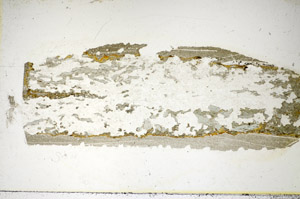 Plane Polarized, S85632