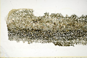 Plane Polarized, S85634