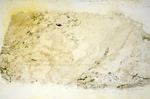 Plane Polarized, S85635