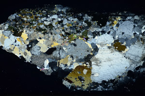 Cross Polarized, S85636