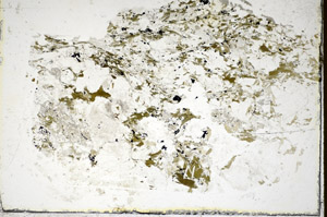 Plane Polarized, S85637