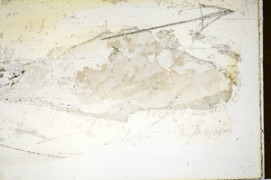 Plane Polarized, S85638