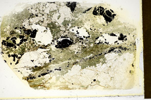 Plane Polarized, S85640