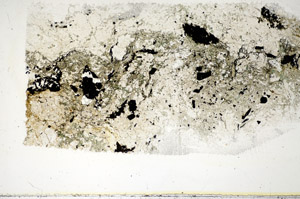 Plane Polarized, S85641